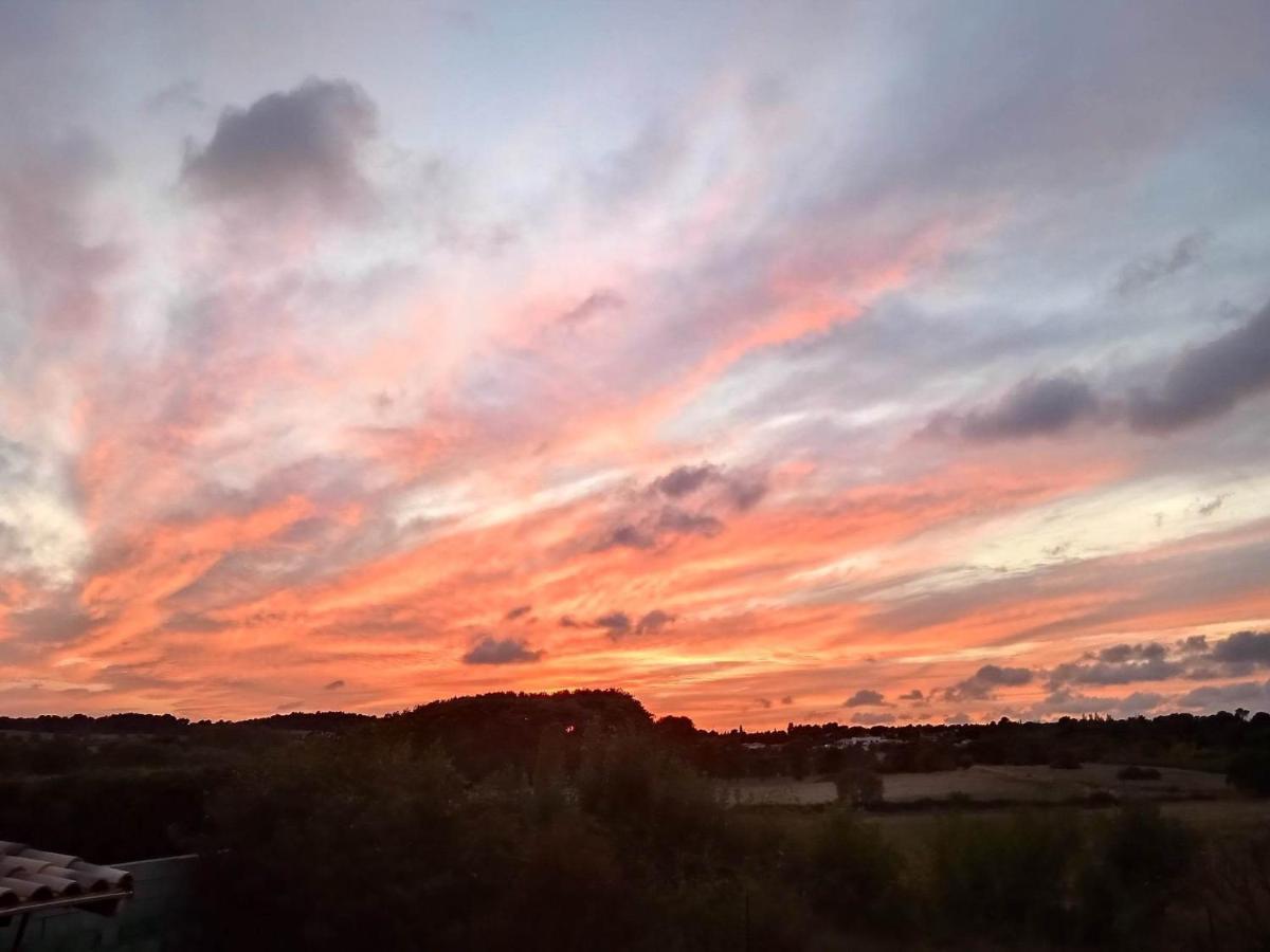Au Soleil Couchant Villemoustaussou Exteriér fotografie